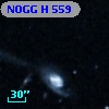 NOGG H  559