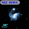 NGC  3836A
