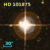 HD 101875