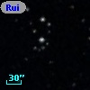 Ruiz 439-91