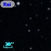Ruiz 439-85