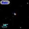 Ruiz 439-142