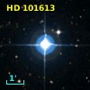 HD 101613