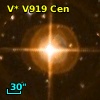 V* V919 Cen