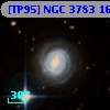 [TP95] NGC  3783  16