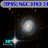 [TP95] NGC  3783  21