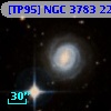 [TP95] NGC  3783  22