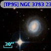 [TP95] NGC  3783  23