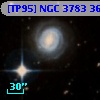 [TP95] NGC  3783  36