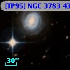 [TP95] NGC  3783  43