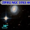 [TP95] NGC  3783  44