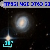 [TP95] NGC  3783  53