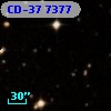CD-37  7377