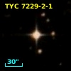 TYC 7229-2-1