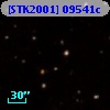 [STK2001] 09541c