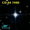 CD-44  7490