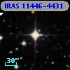 IRAS 11446-4431