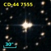 CD-44  7555