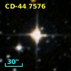CD-44  7576