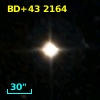 BD+43  2164