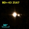 BD+43  2167