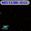 KISS F1200-4253