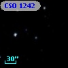 CSO 1242