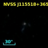 NVSS J115518+365313