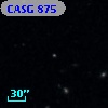 CASG  875