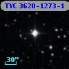 TYC 3620-1273-1