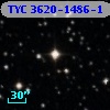 TYC 3620-1486-1