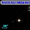 RASSCALS NRGb161