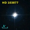 HD 103877