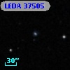 LEDA   37505