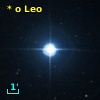 * o Leo