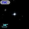 TYC 1441-260-1