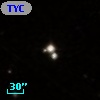 TYC  864-830-1