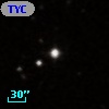 TYC  864-7-1