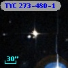 TYC  273-480-1