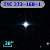 TYC  273-160-1