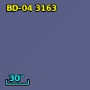 BD-04  3163