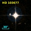 HD 103677