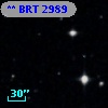 ** BRT  2989
