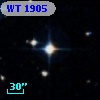 WT 1905