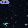Ruiz 440-161