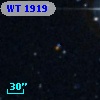 WT 1919