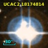 CD-31  9365C