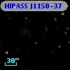 HIPASS J1150-37