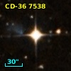 CD-36  7538