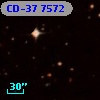 CD-37  7572